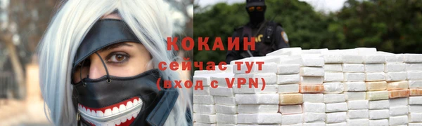 прущая мука Вяземский