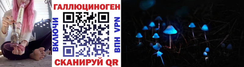 наркота блэк спрут сайт Галлюциногенные грибы Psilocybe Бакал